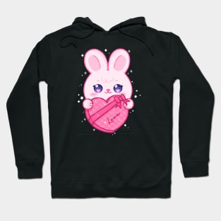 Valentine Bunny Hoodie